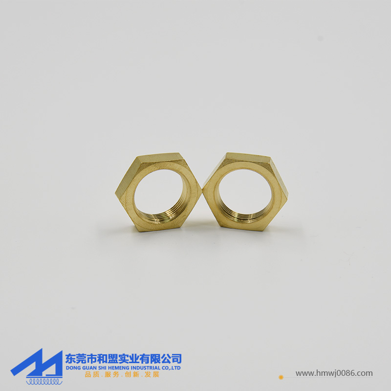 反牙六角銅螺母LM-03